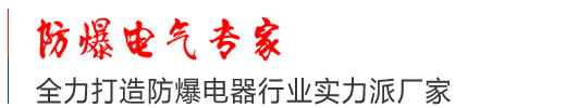 防爆电气专家
